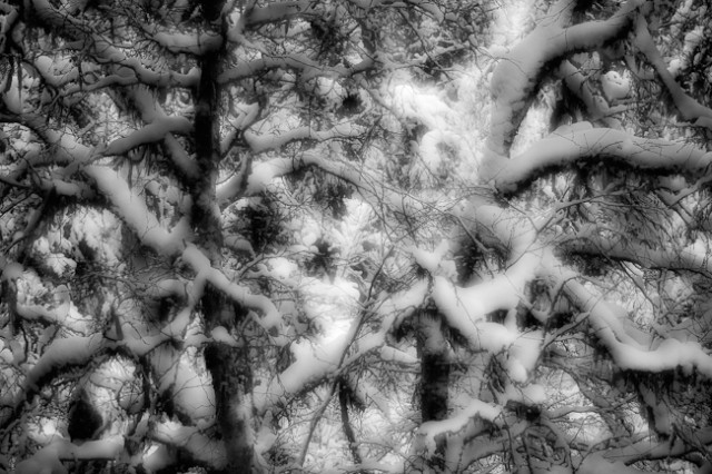 091220121bw