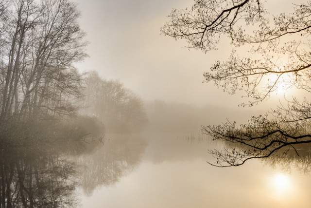 Misty sunrise