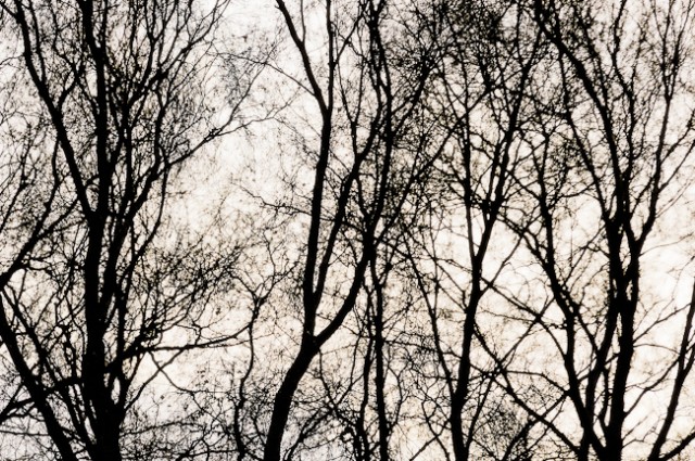 061119004-Edit