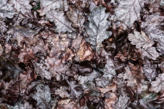 061130013-Edit