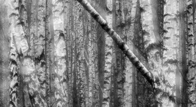 061222026-Edit