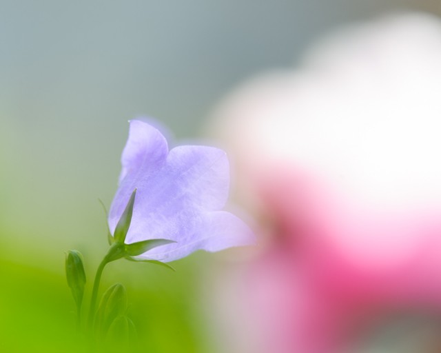 120702153-Edit