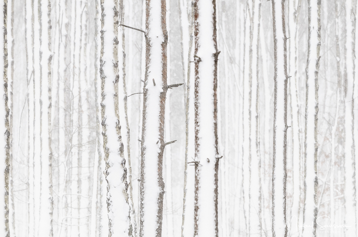 Delsjöområdet, Göteborg.