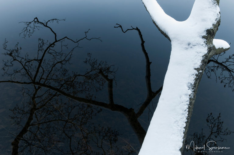 Blacktjärn, Delsjöområdet. Foto: Mikael Svensson, www.mikaelsvensson.com