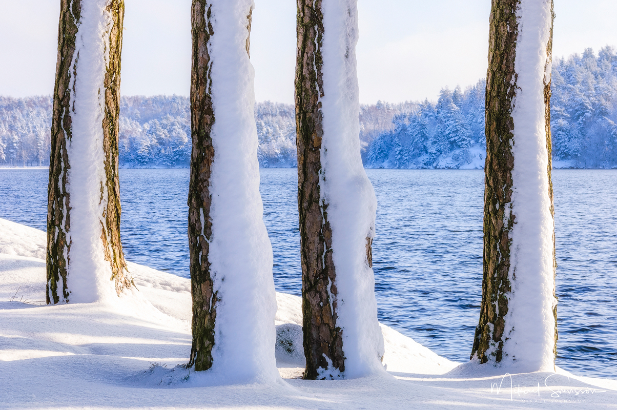 Stora Delsjön, Göteborg.