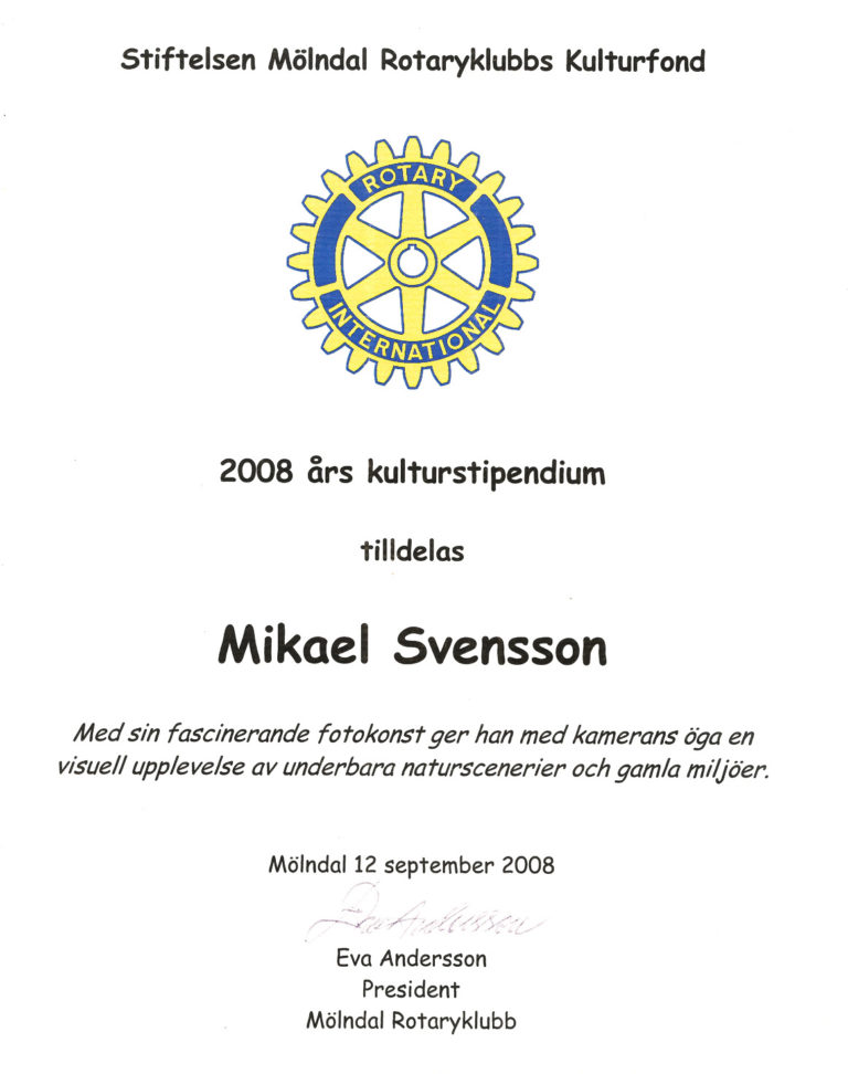 2008 års kulturstipendium