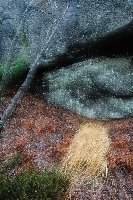 Delsjöområdet, Göteborg