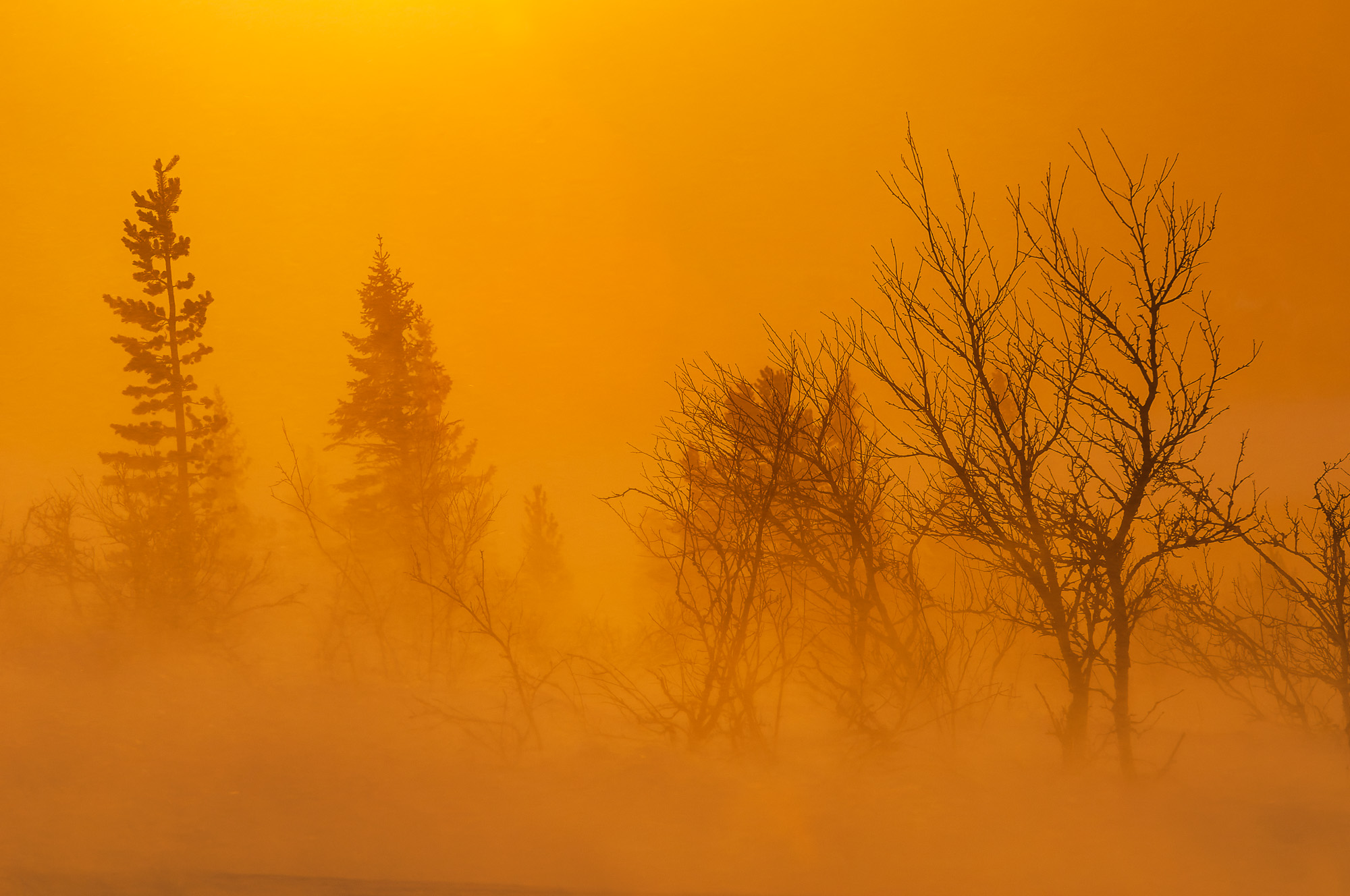 Lofsdalen, Härjedalen