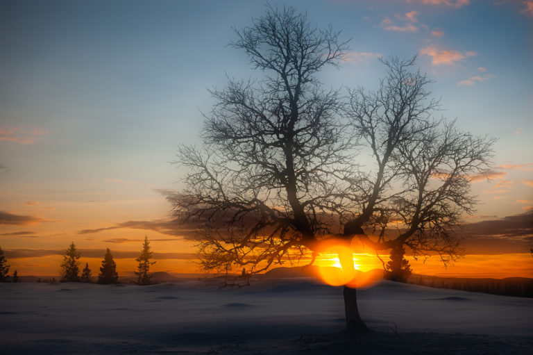 Lofsdalsfjällen, Härjedalen