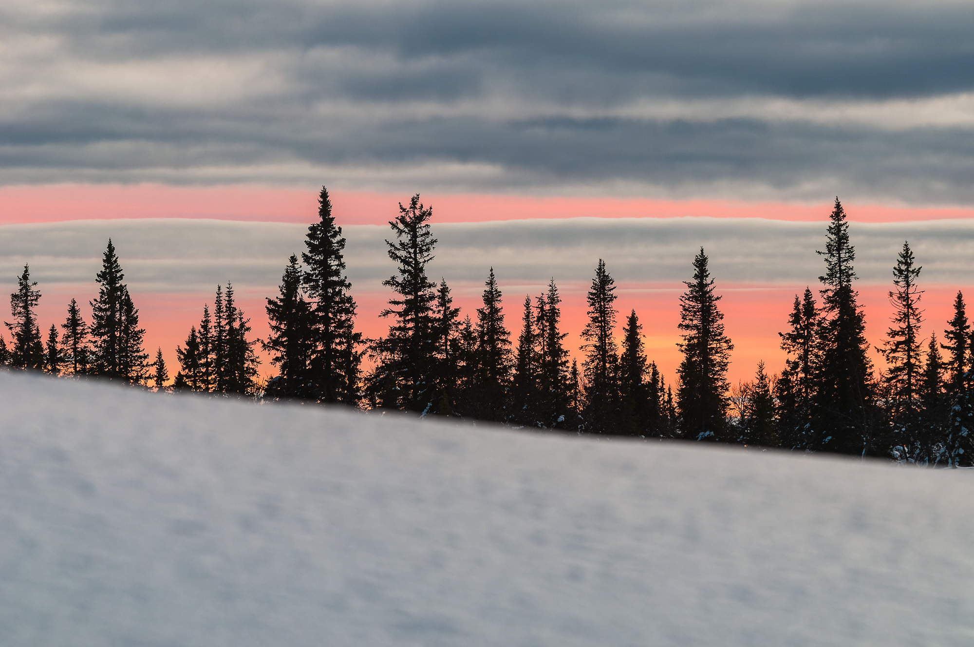 Lofsdalsfjällen, Härjedalen