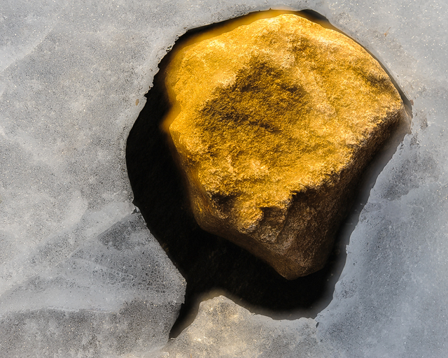 Stora Delsjön, Delsjöområdet