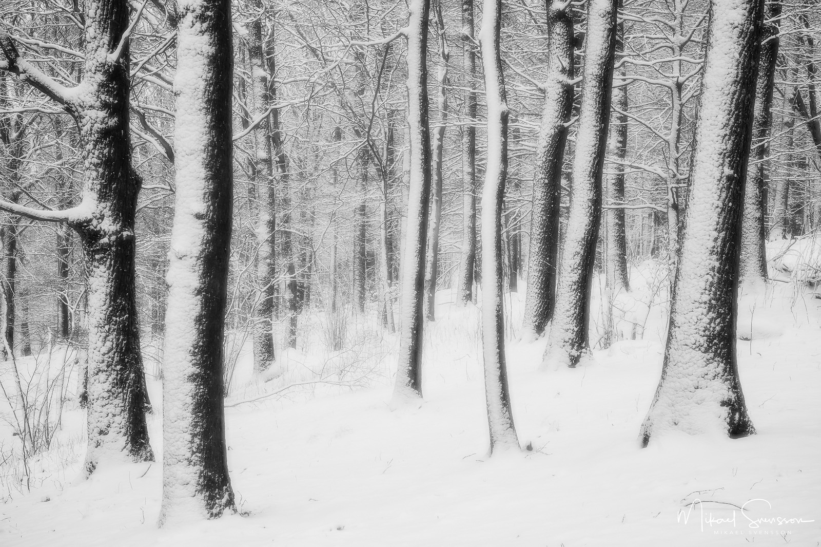 Rådasjöns Naturreservat, Härryda kommun