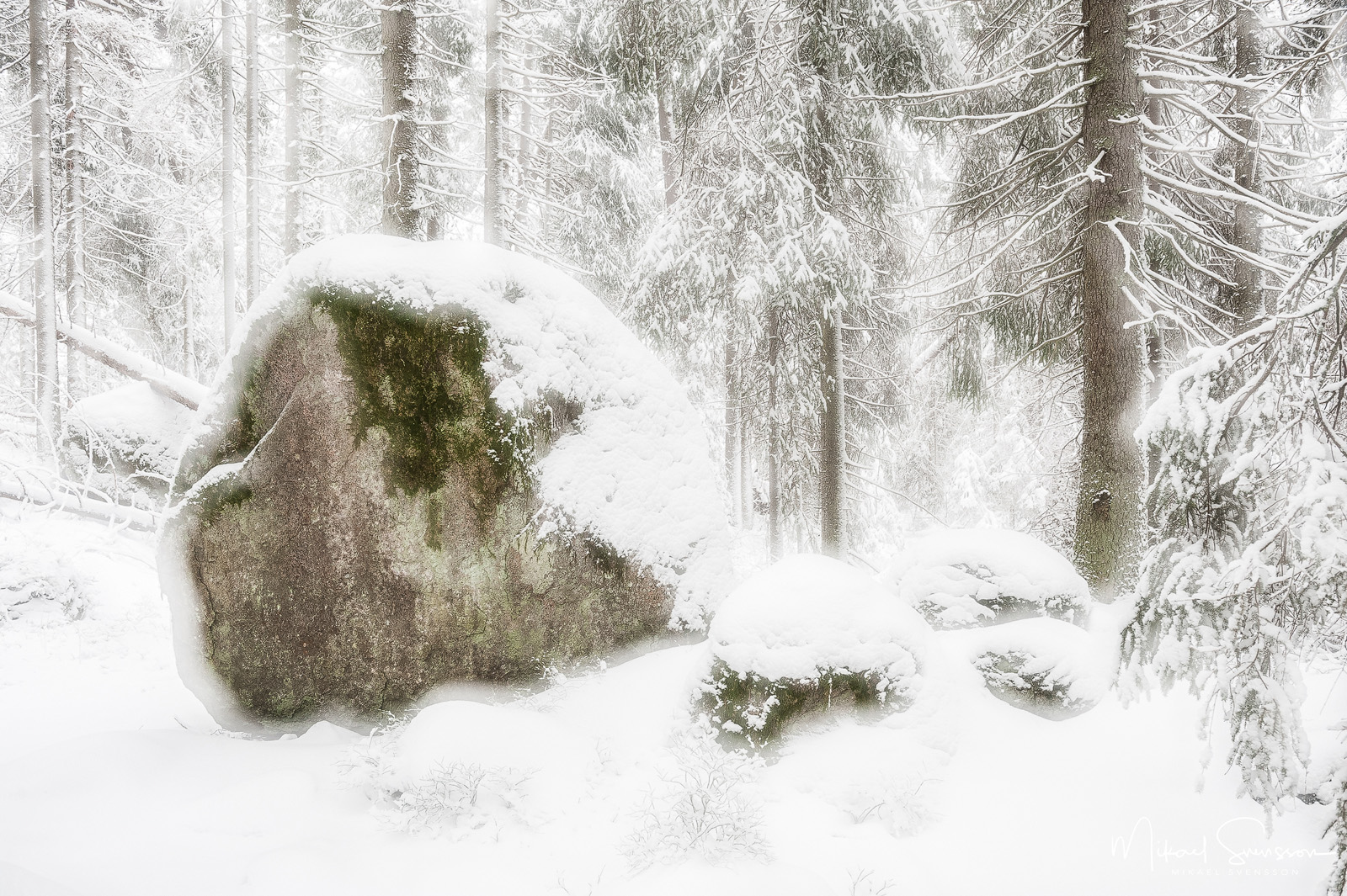 Vinter vid Tivedens nationalpark