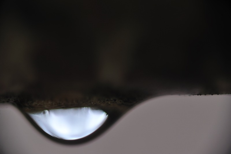 090409052