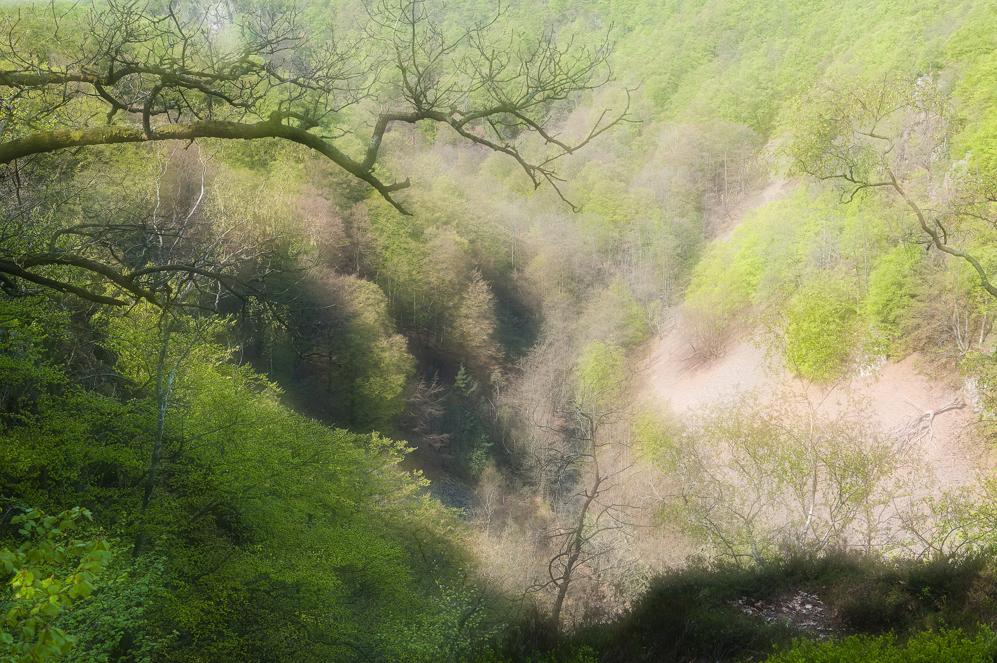 Söderåsen Nationalpark, Skåne