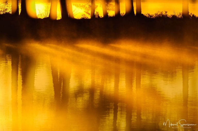 Finnsjön, Mölnlycke. Foto: Mikael Svensson, www.mikaelsvensson.com