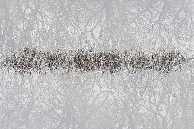 Gunnebo Kulturreservat, Mölndal