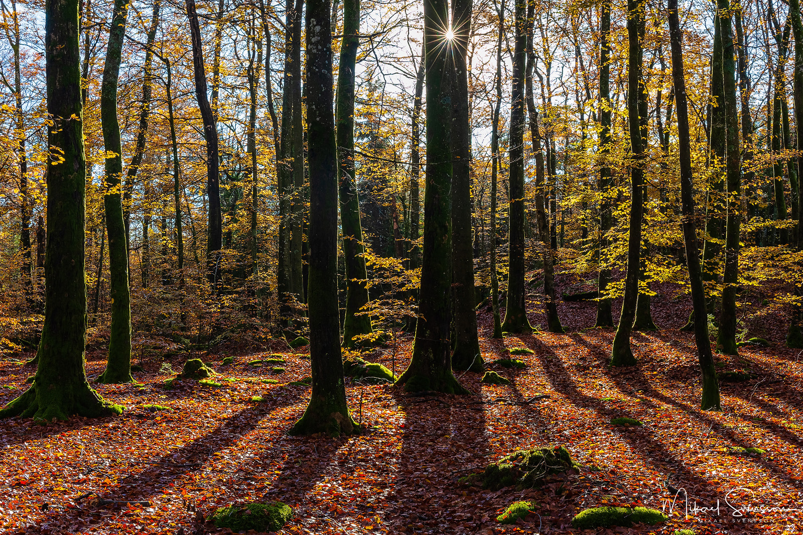 Hyssna, Marks kommun. Foto: Mikael Svensson, www.mikaelsvensson.com