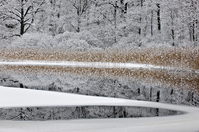 Ståloppet, Gunnebo Kulturreservat, Mölndal