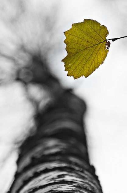 111022287-Edit