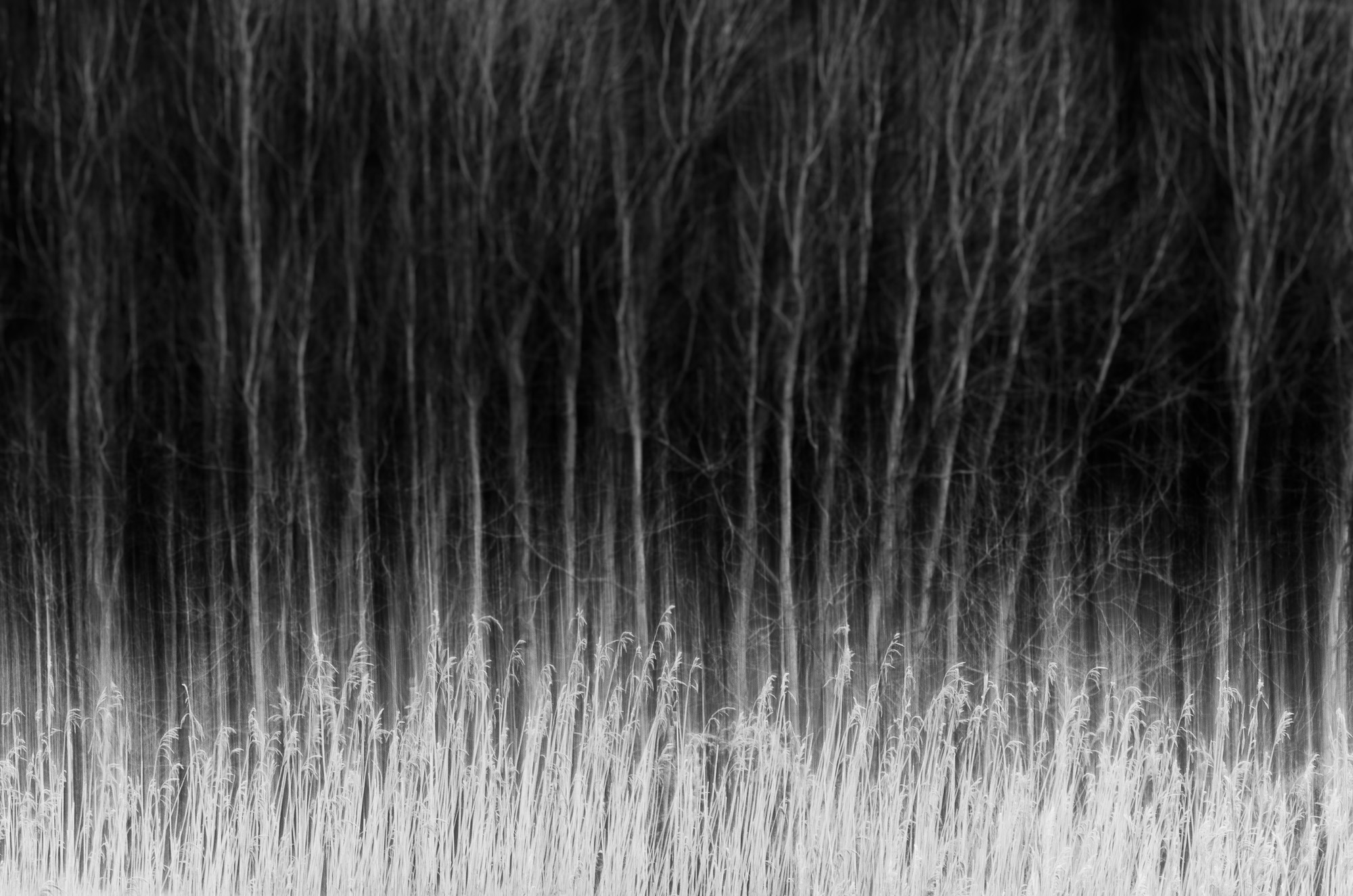 120109072-Edit-Edit