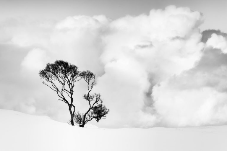 120223128-132-Edit-2