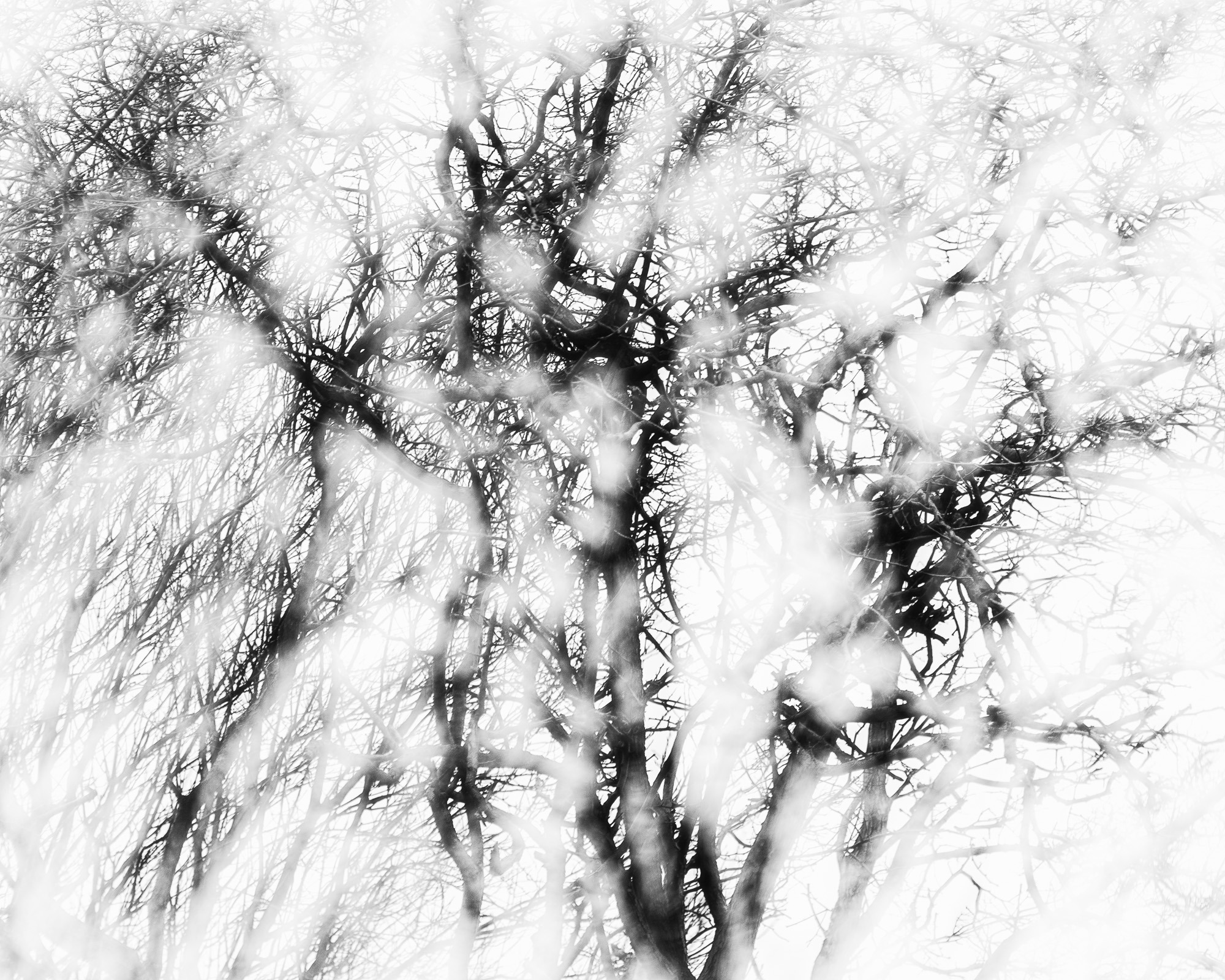 120320007-Edit