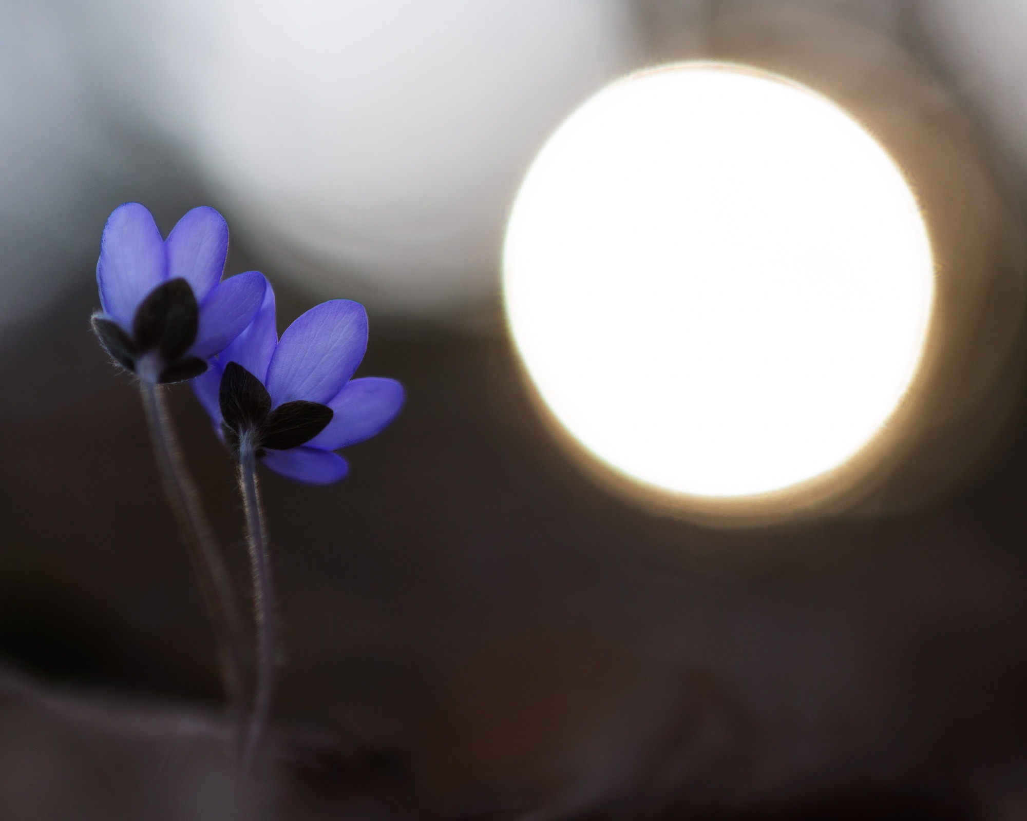 120404104-Edit