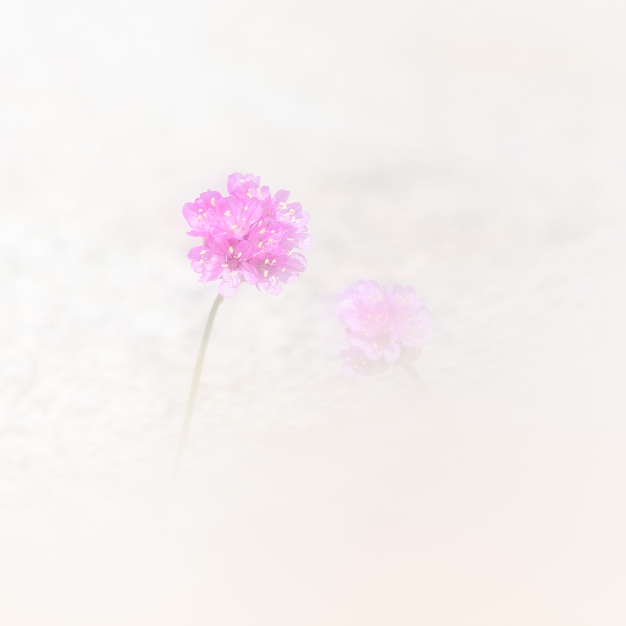120507219-Edit