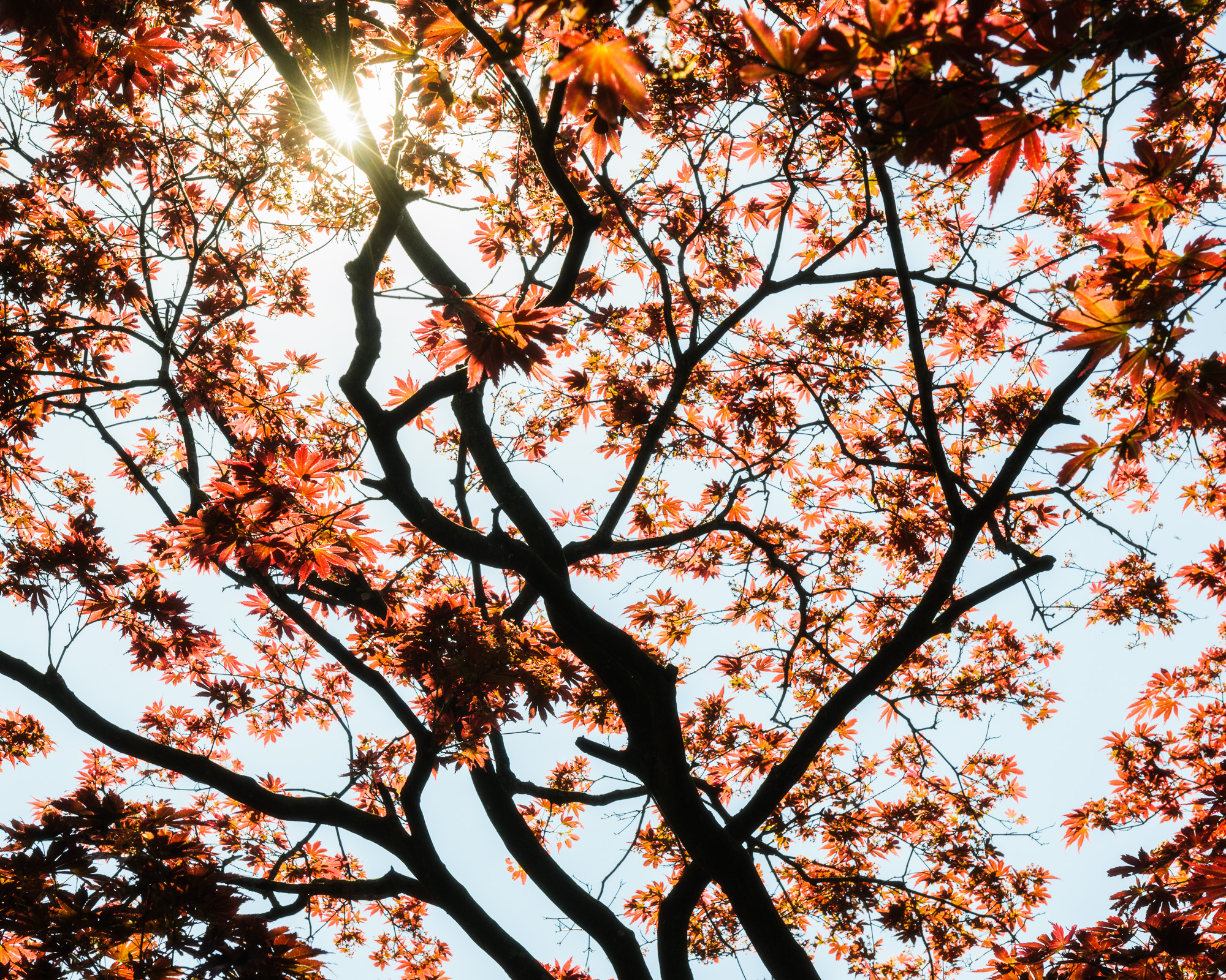 120525342-Edit