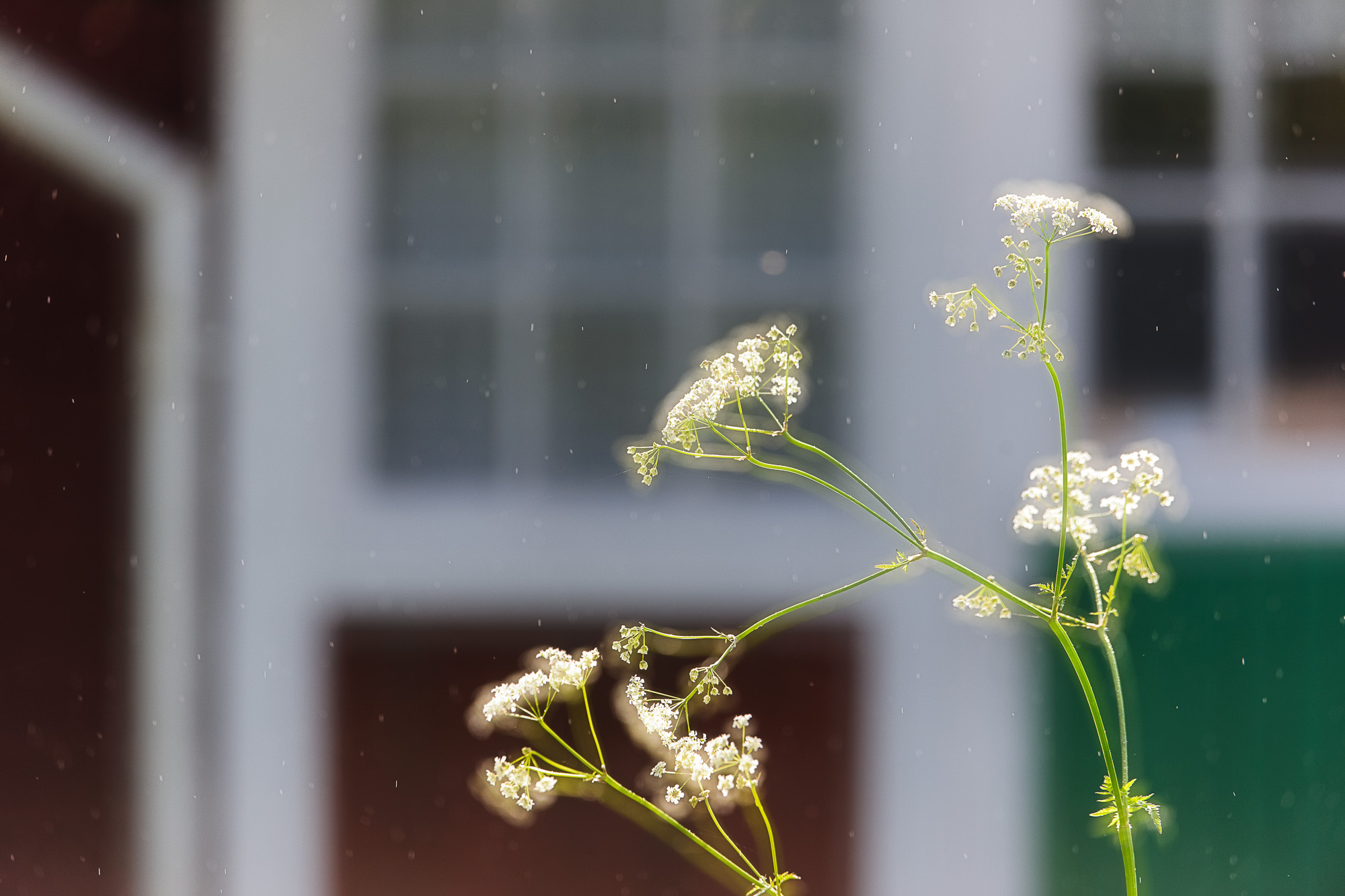 120630019-Edit