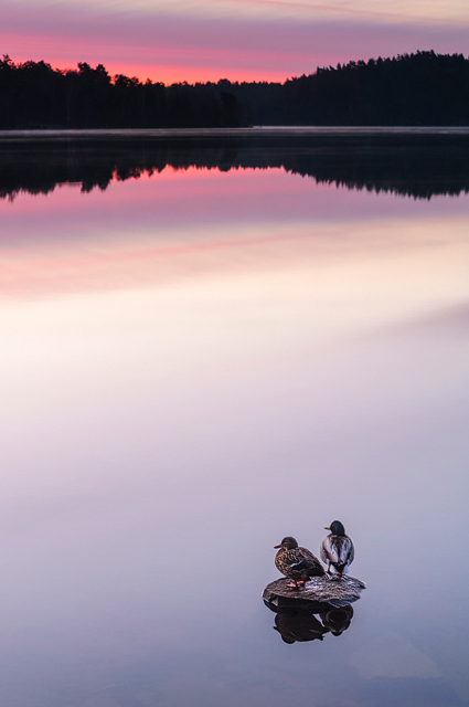 Stora Delsjön, Göteborg