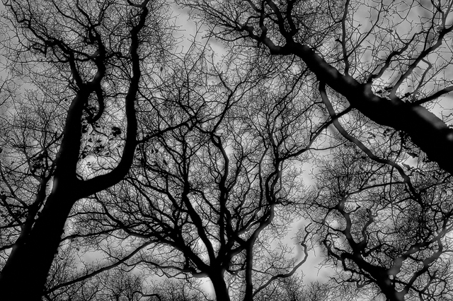 Gunnebo Kulturreservat, Mölndal