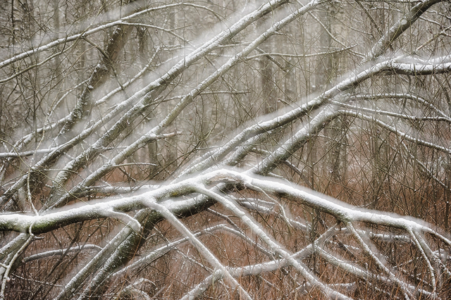 Gunnebo Kulturreservat, Mölndal