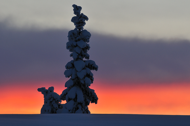 Sörvattenvollen, Härjedalen