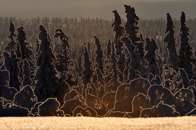 Stråhogna, Lofsdalsfjällen, Härjedalen