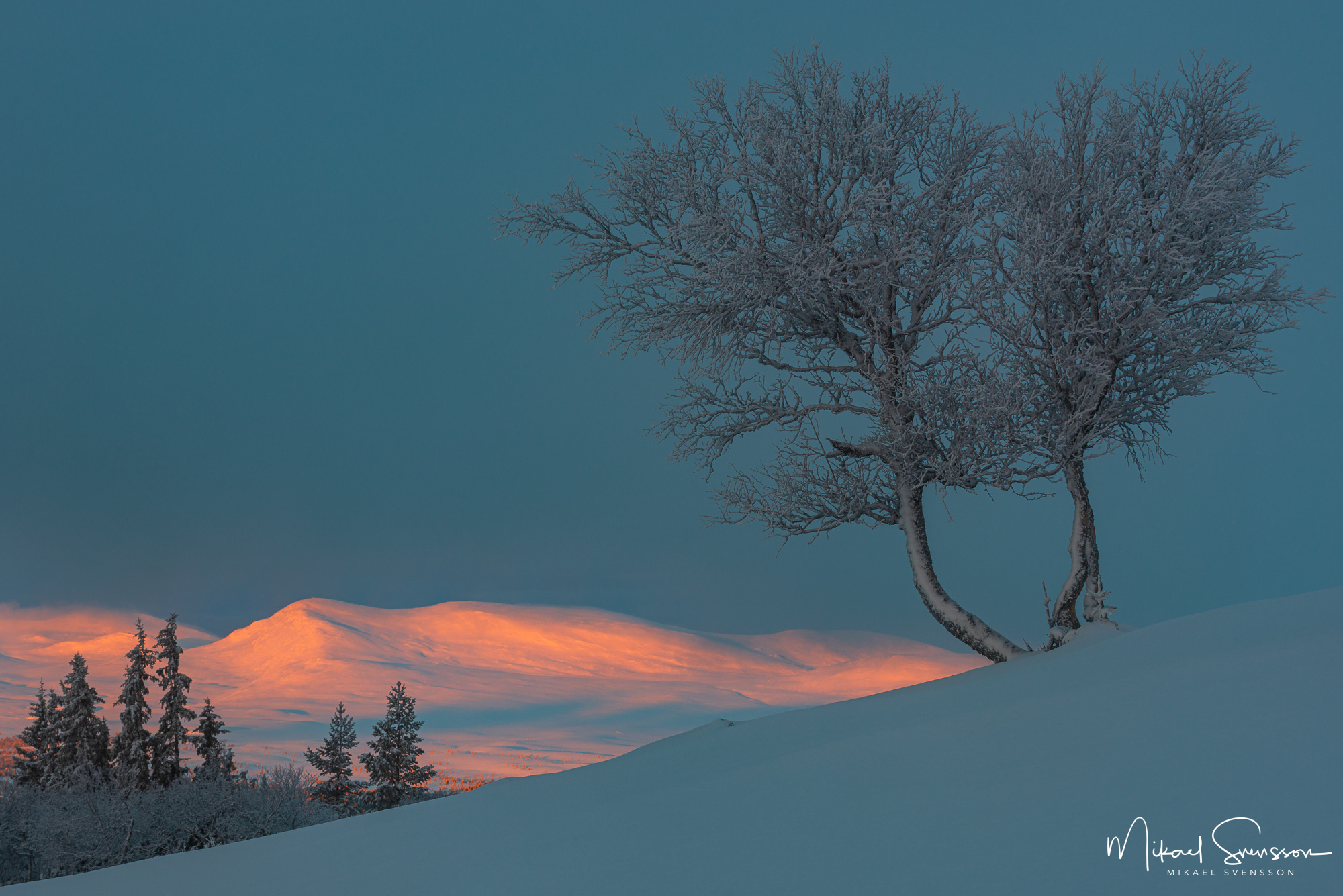 Gryningsljus på Salsfjellet från Långfjället, Grövelsjöfjällen.