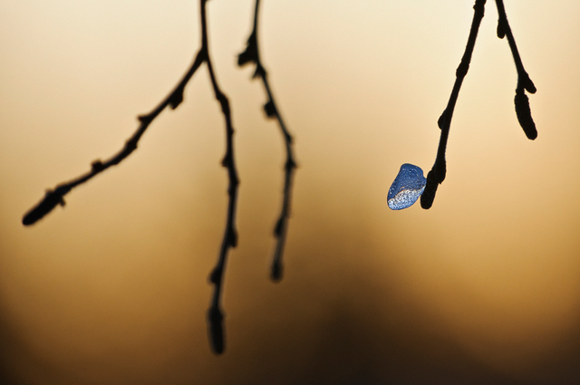 Valdalsfjellet, Hedmark fylke, Norge