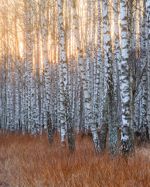 Gunnebo Kulturreservat, Mölndal