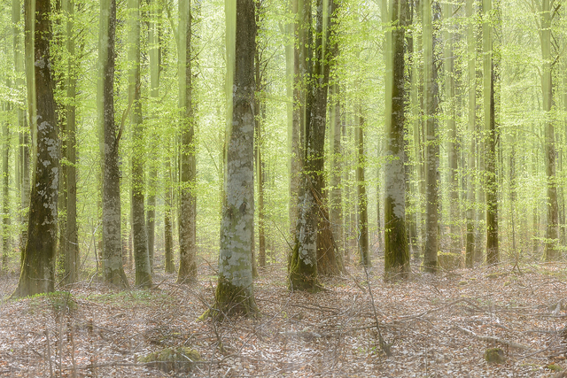 Grimsgöl, Emmaboda, Småland