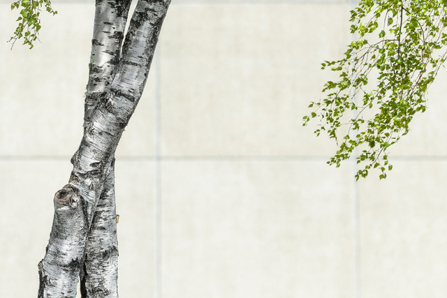 Bergsjön, Göteborg