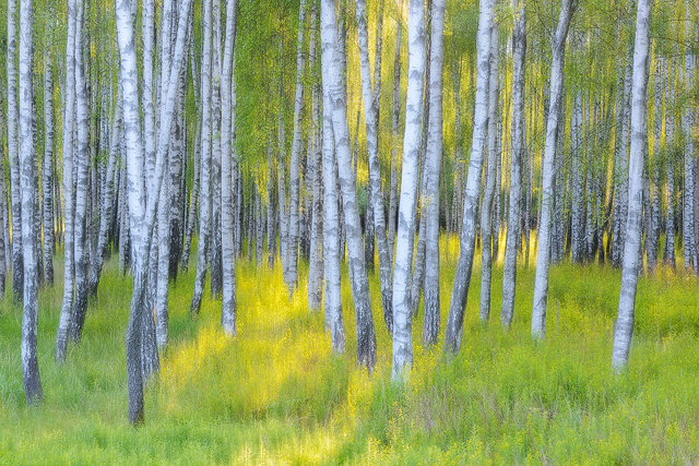 Gunnebo Kulturreservat, Mölndal