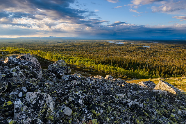 Härjähogna, Dalarna