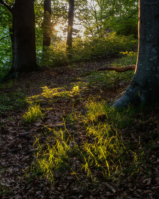 Wendelsberg, Mölnlycke