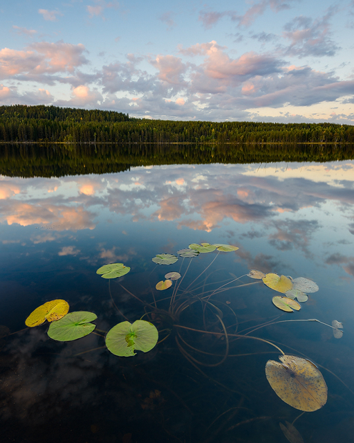 Tallsjön, Orsa Finnmark