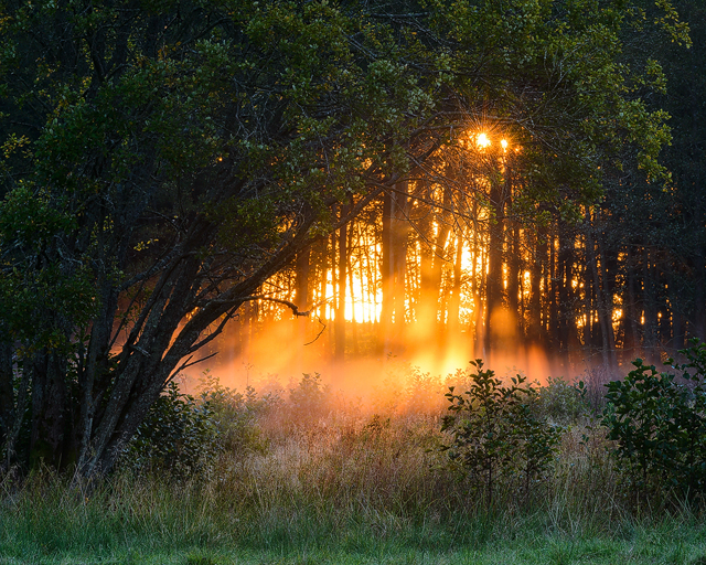 Gunnebo Kulturreservat, Mölndal