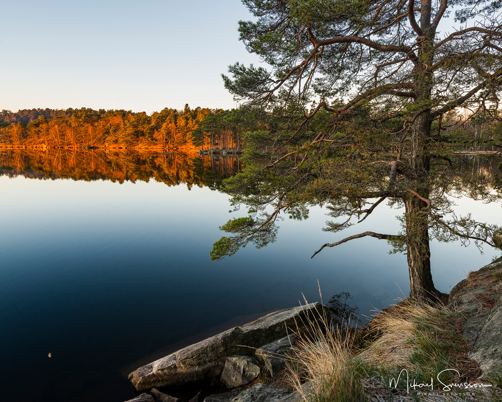 Stora Delsjön, Delsjöområdet, Göteborg.