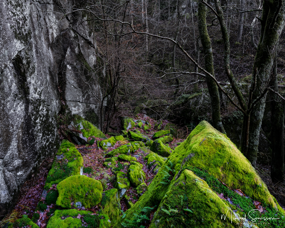 Bjelkes dal, Delsjöområdet.