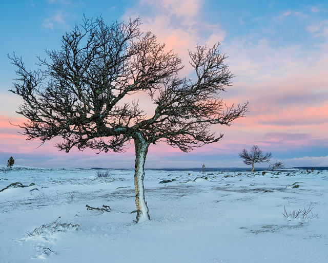 Stråhogna, Härjedalen