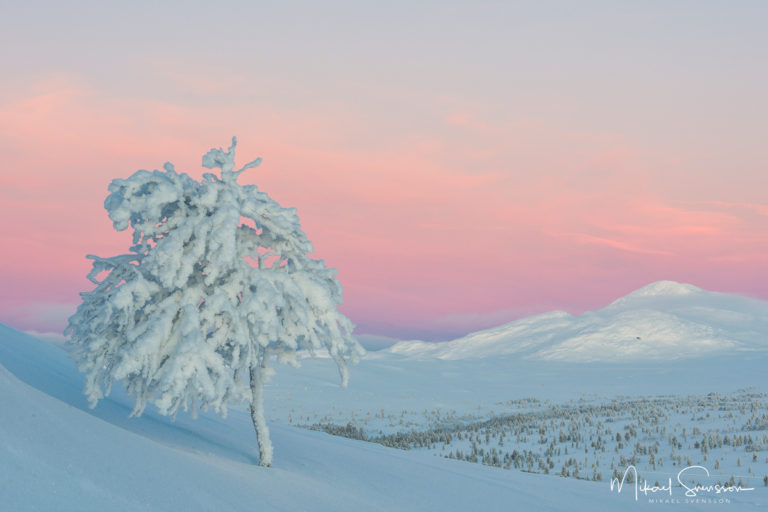 Valdalsfjellet, Hedmark fylke, Norge. Foto: Mikael Svensson, www.mikaelsvensson.com